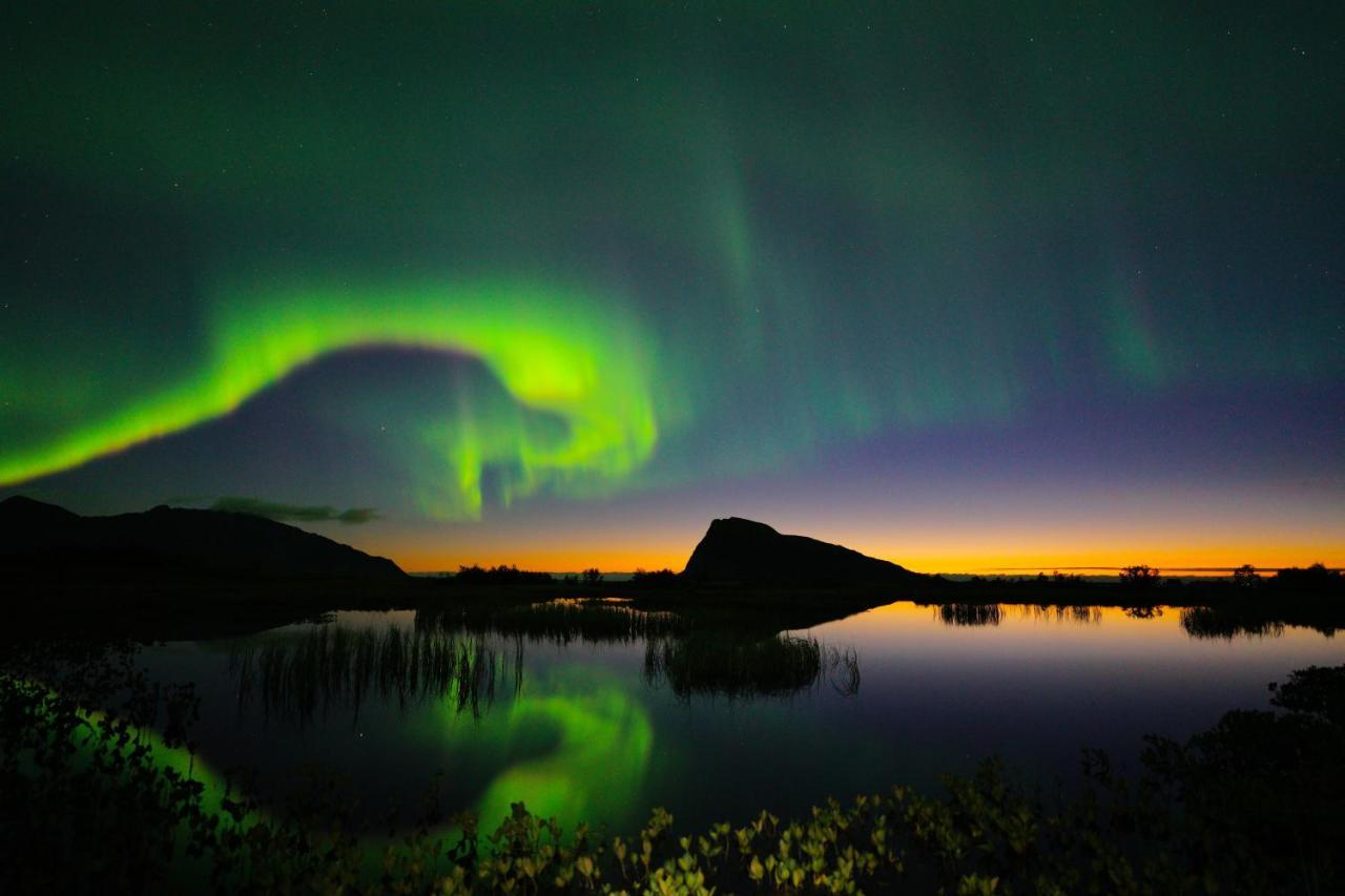 Lofoten Holiday Kabelvåg Dış mekan fotoğraf