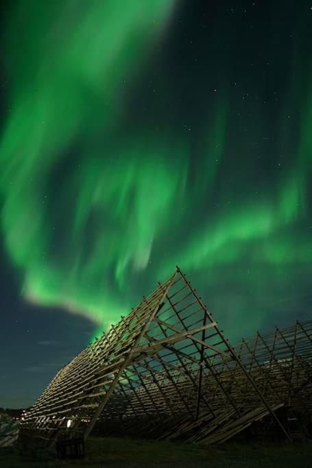 Lofoten Holiday Kabelvåg Dış mekan fotoğraf