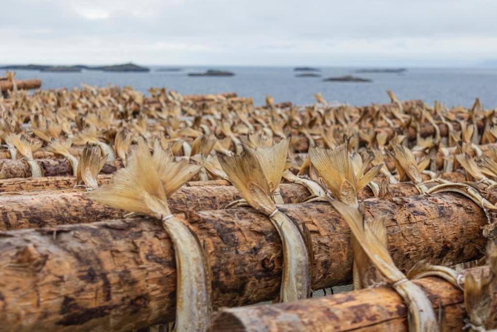 Lofoten Holiday Kabelvåg Dış mekan fotoğraf